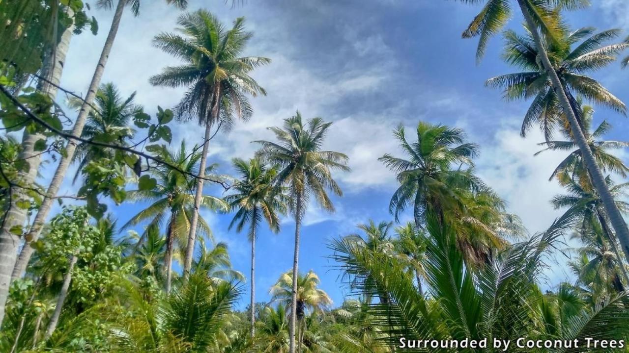 Mansuar Raja Ampat Bungalows Kri Luaran gambar