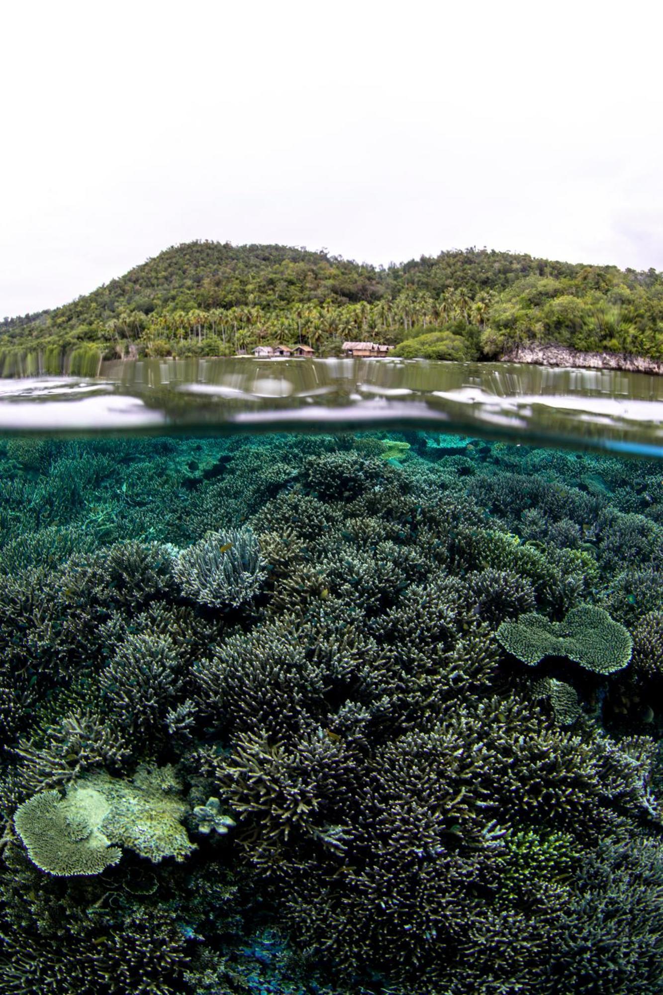 Mansuar Raja Ampat Bungalows Kri Luaran gambar
